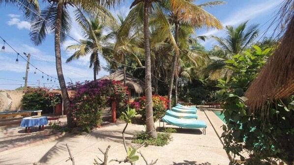 A tropical outdoor area with palm trees, a thatched-roof structure, and a pool with lounge chairs.