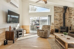 Smart TV, fireplace, books