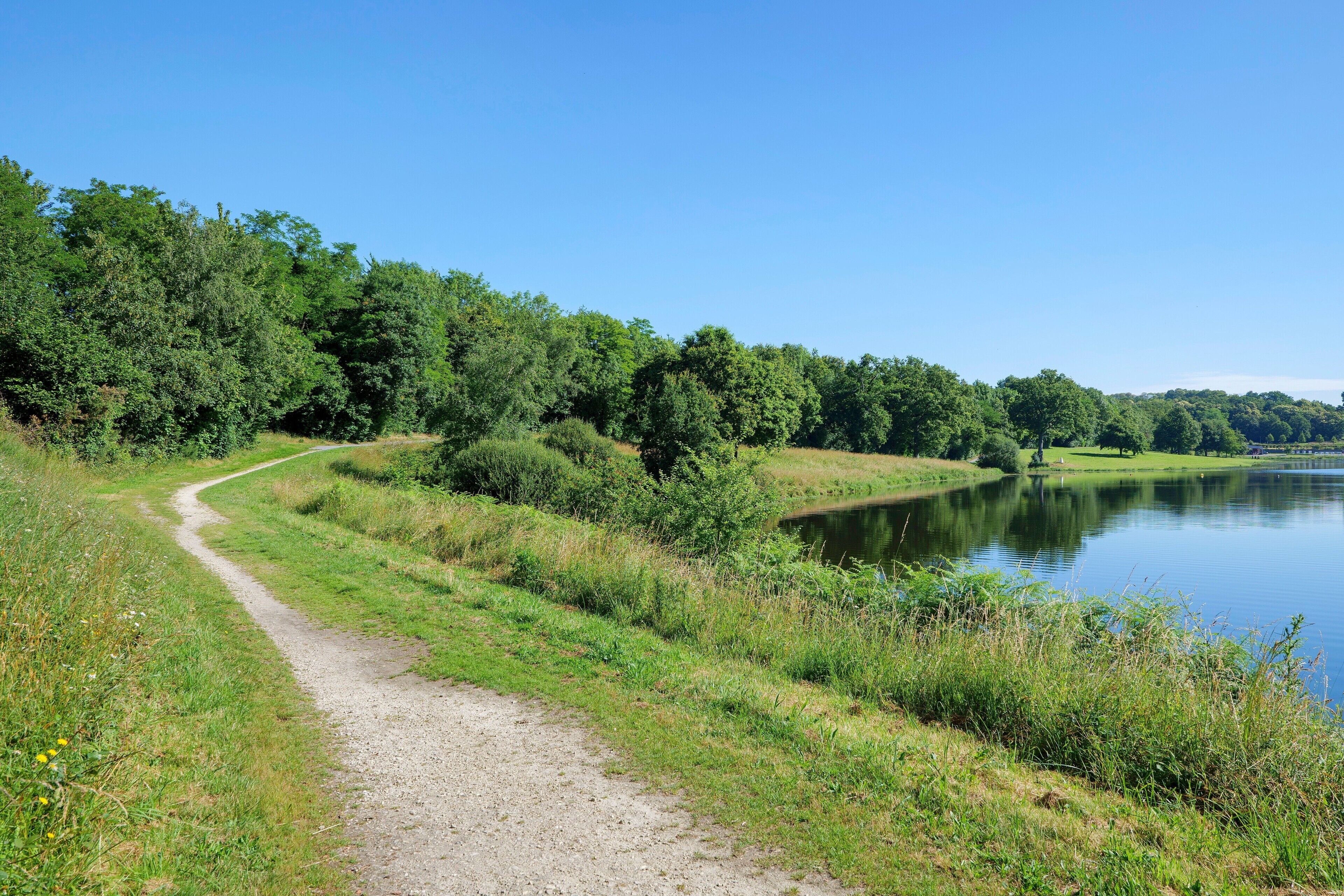 Un sentier de gravier longe un lac, avec une forêt dense en arrière-plan.