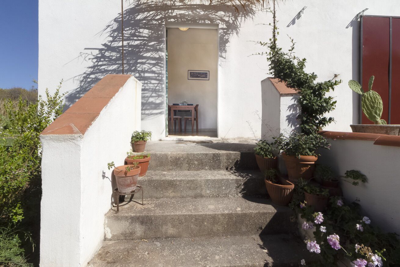 A white building with a set of concrete stairs leading to a door. There are several potted plants on the steps and around the building.