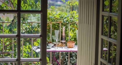 Charming Balcony Studio in Lourmarin village with a view on the Chateau