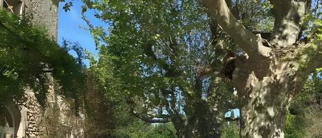 Enceinte de l’hébergement