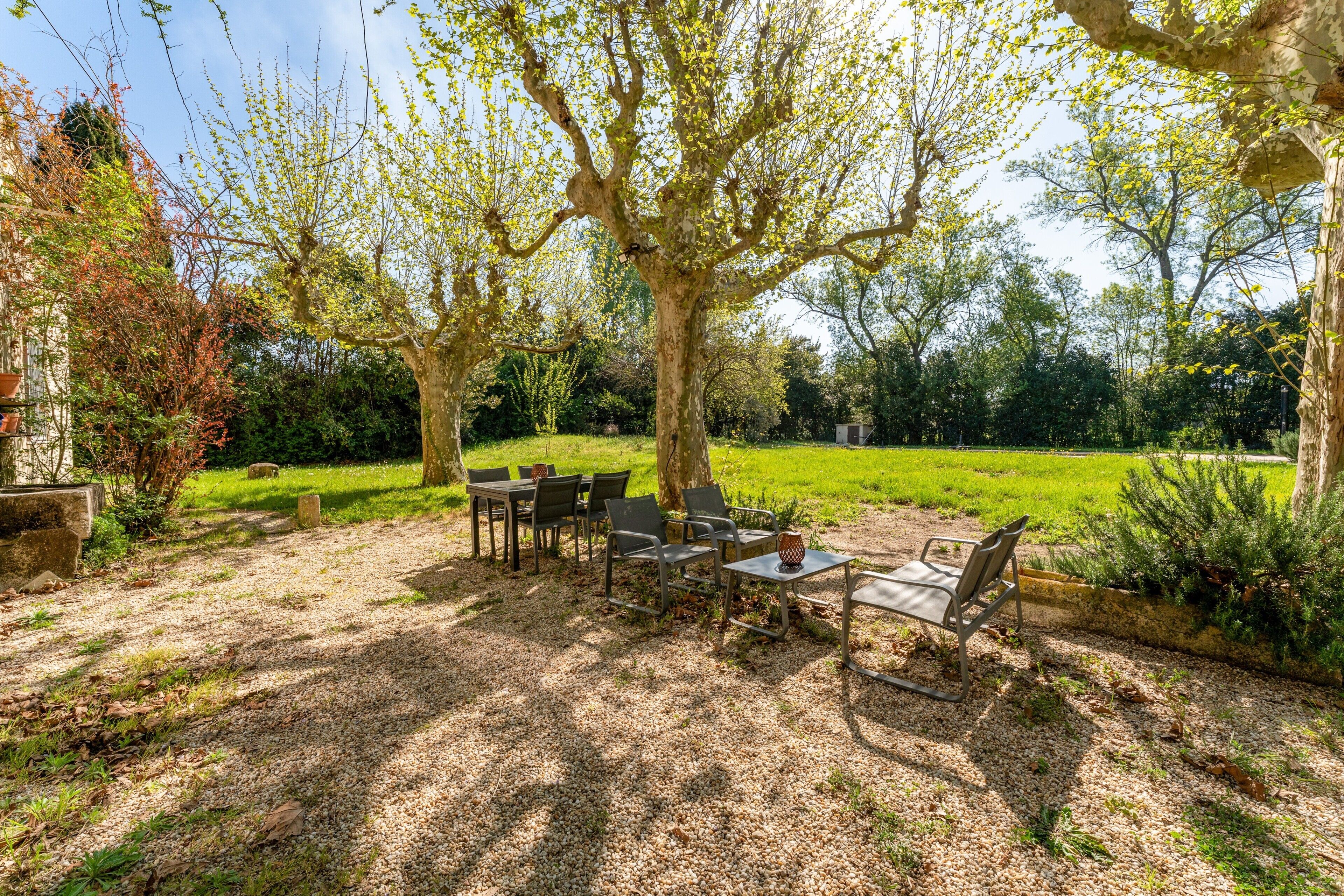 Un espace extérieur aménagé avec des tables et des chaises, entouré d’arbres et d’un champ d’herbe.