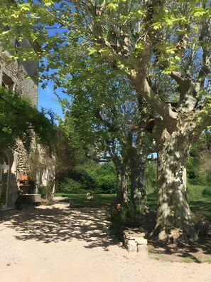 Overnattingsstedets uteområder