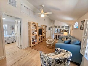 Älytelevisio, kirjoja, videokirjasto