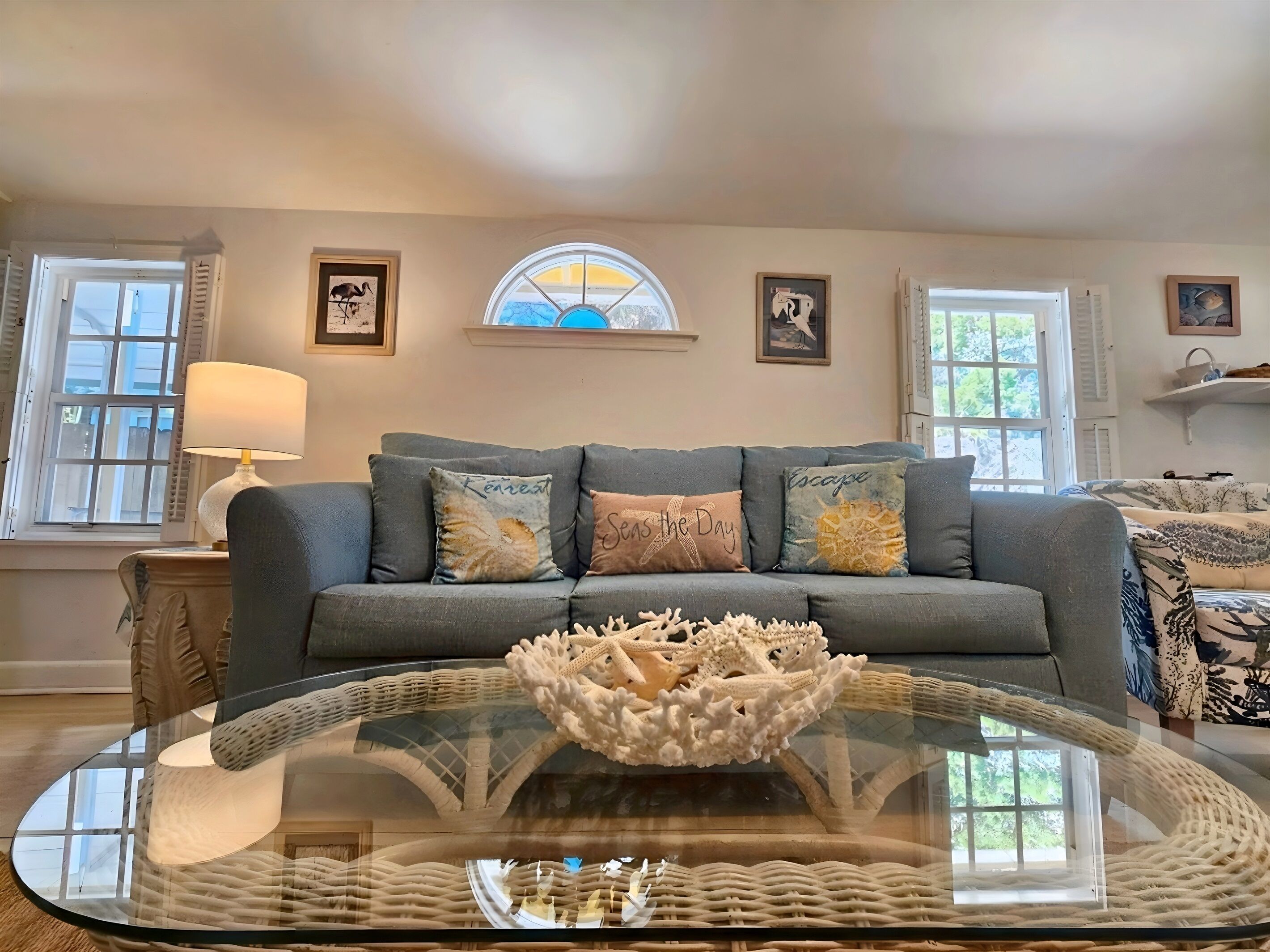 Smart-TV, Bücher, Videothek