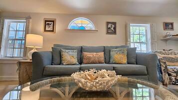 Smart TV, books, video library