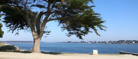 Ubicación cercana a la playa