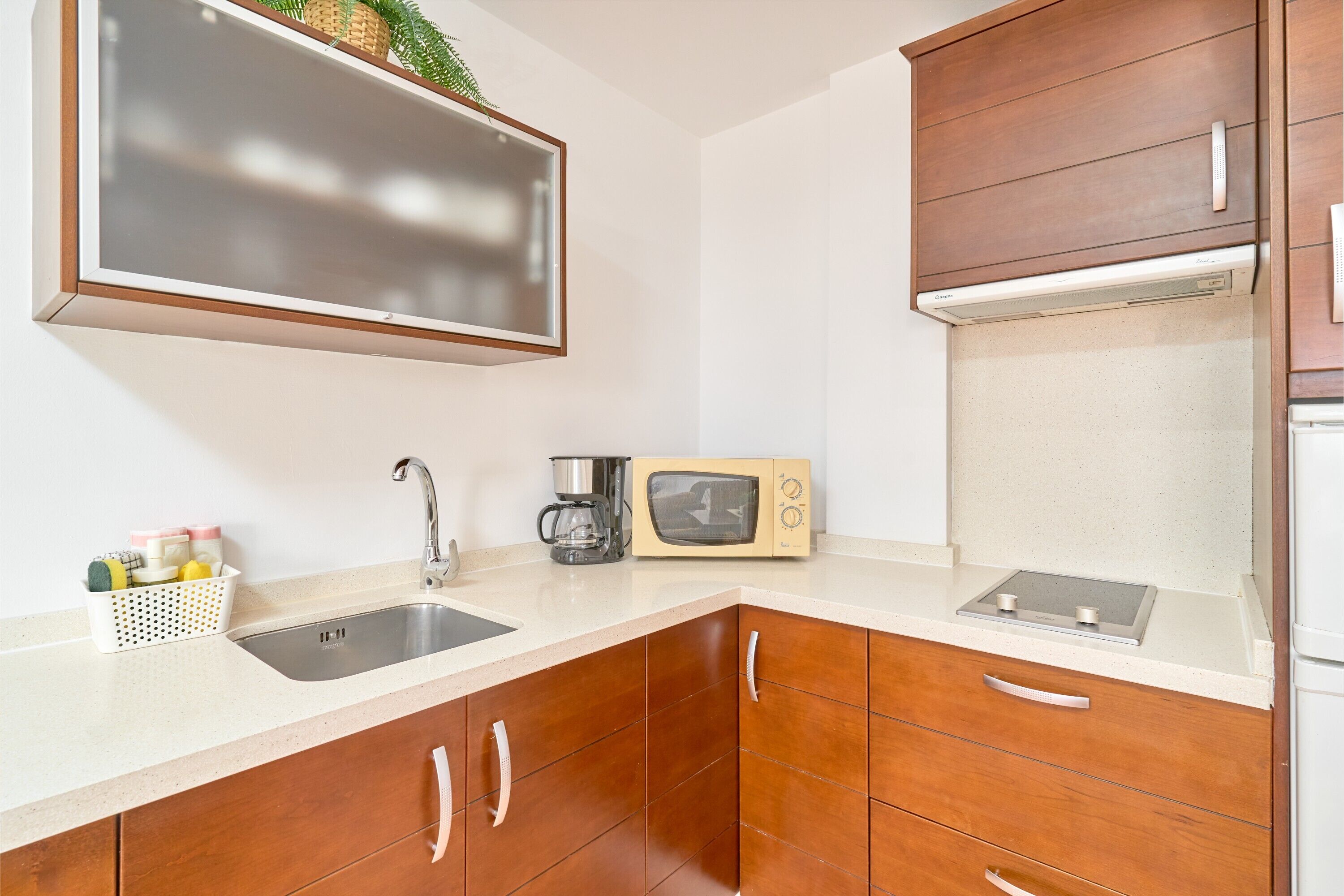 Fridge, microwave, stovetop, electric kettle