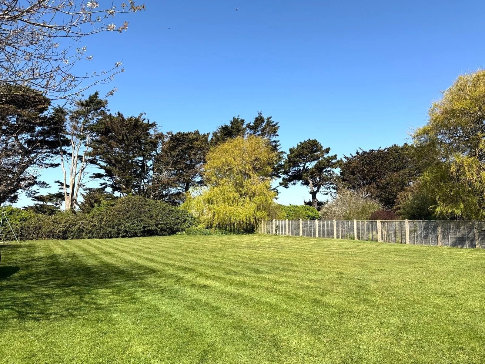 A well-maintained lawn with a wooden fence, various trees, and a clear blue sky.