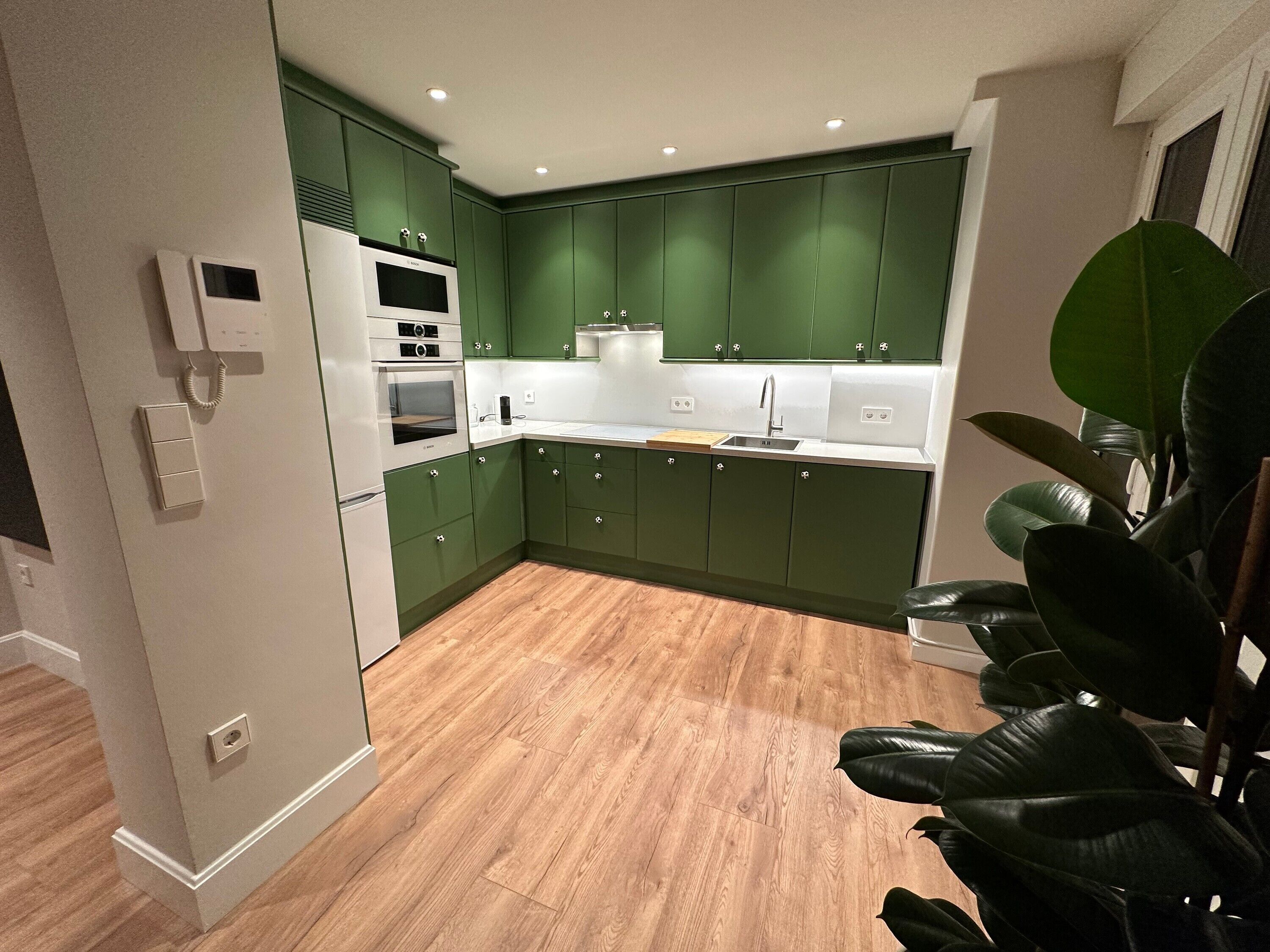 Frigorífico, microondas, placa de cocina y lavavajillas