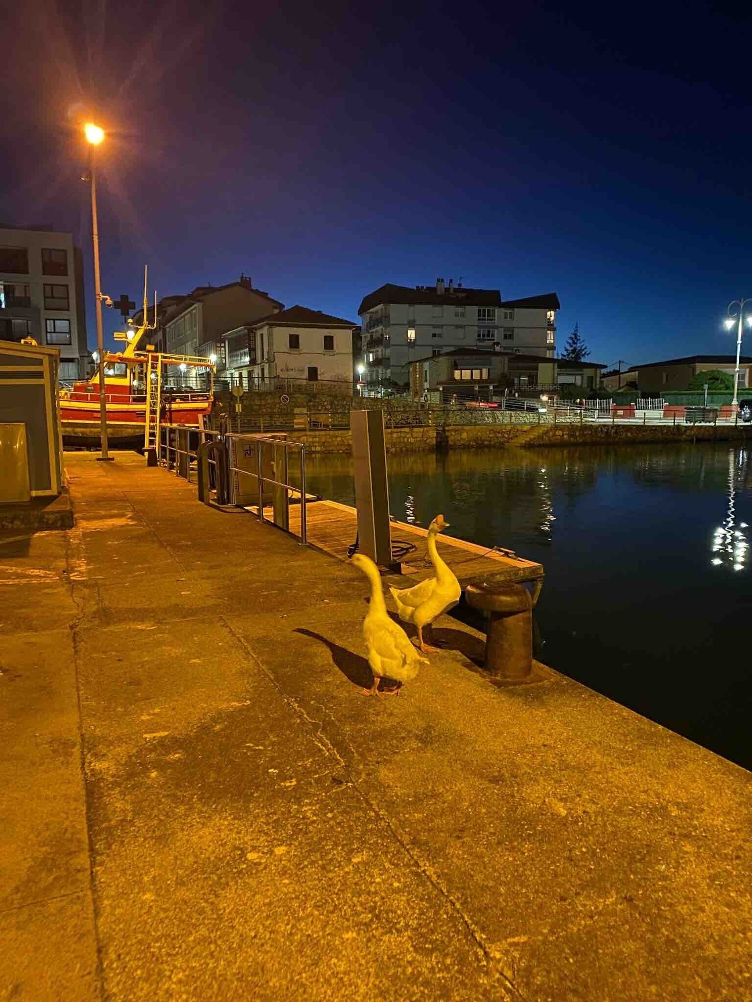 Una zona ribereña de noche con un muelle, un barco y edificios al fondo.