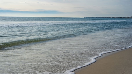 On the beach. Bright Condo with Balcony, Pool and Boardwalk Beach Access