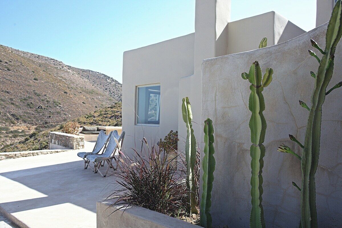 Un espacio al aire libre moderno con sillas y una planta de cactus.