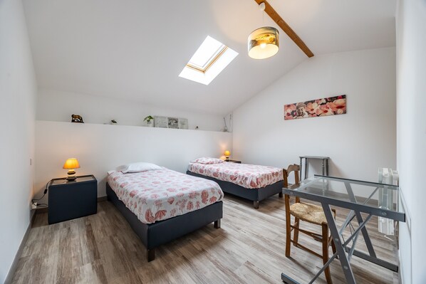 A bedroom with two beds, a skylight, a desk, and a chair.