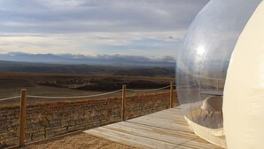 Una struttura a cupola trasparente con un tavolo e una sedia all'interno, affacciata su un vigneto e montagne lontane.