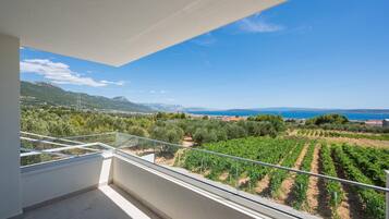 A balcony with a clear view of vineyards and mountains.