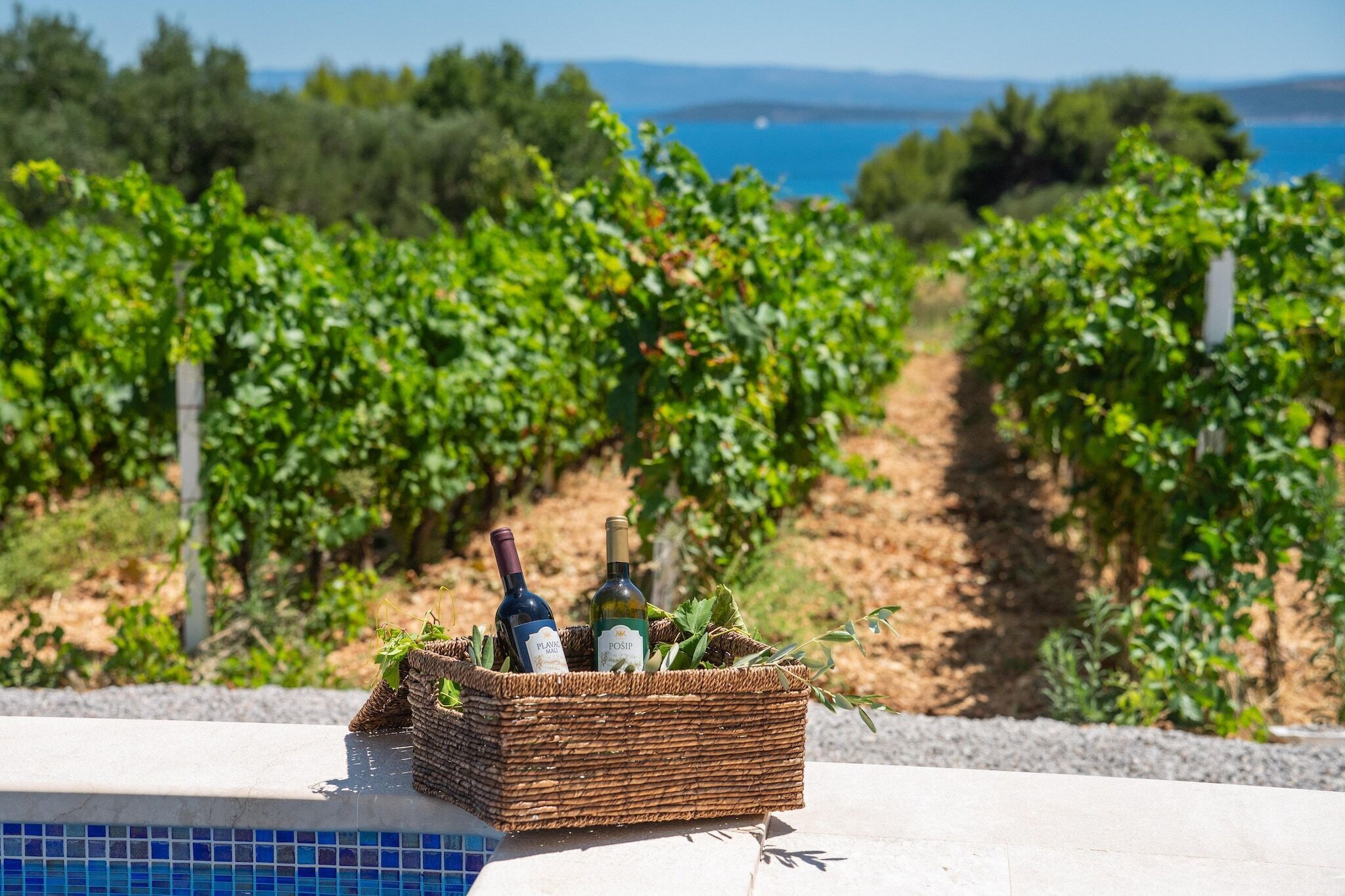 A wicker basket with bottles and greenery by a pool with a vineyard and sea view in the background.
