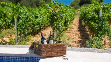 A wicker basket with bottles and greenery by a pool with a vineyard and sea view in the background.