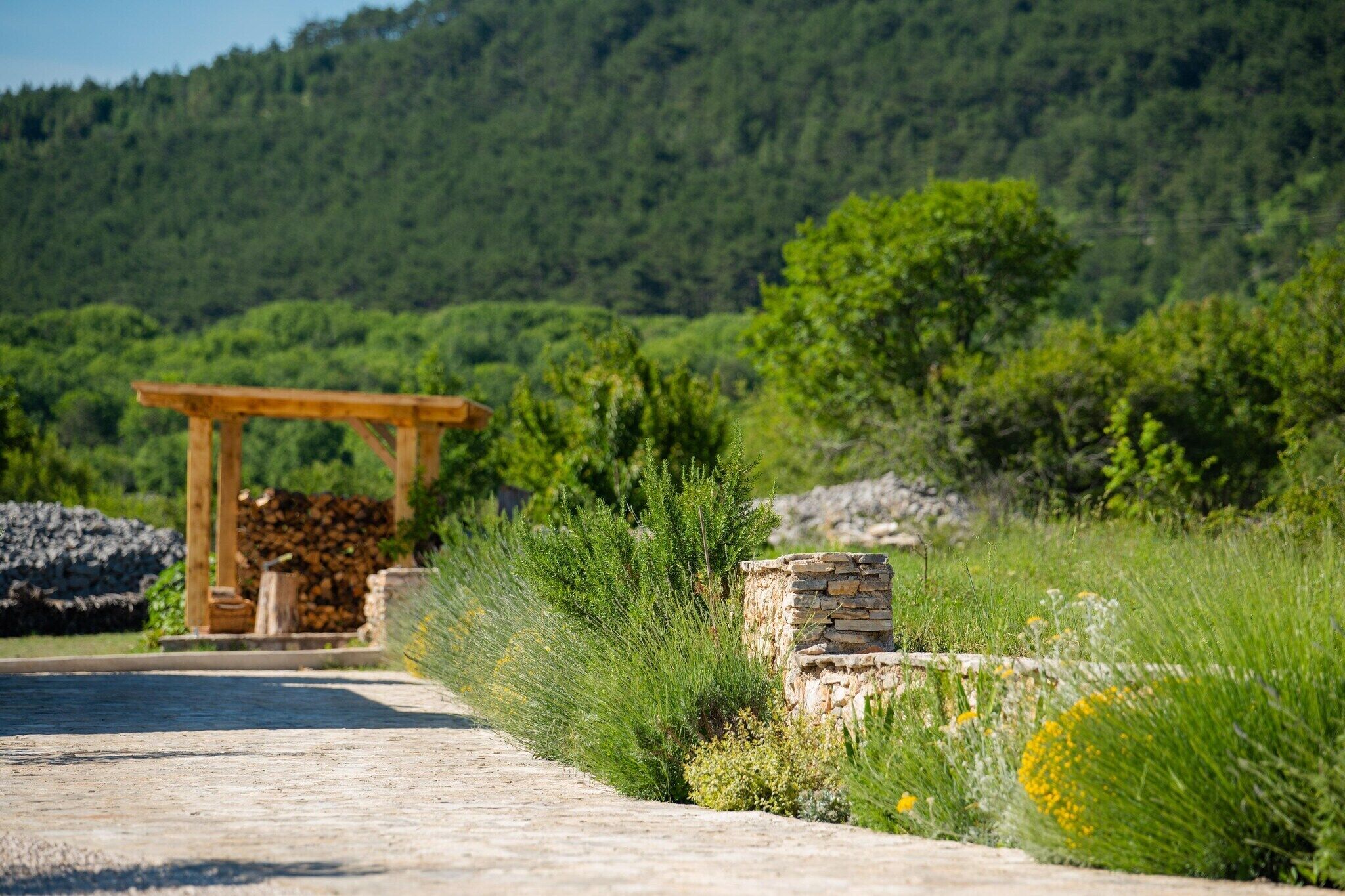 A paved pathway leading to a wooden pergola with a stone wall and greenery.