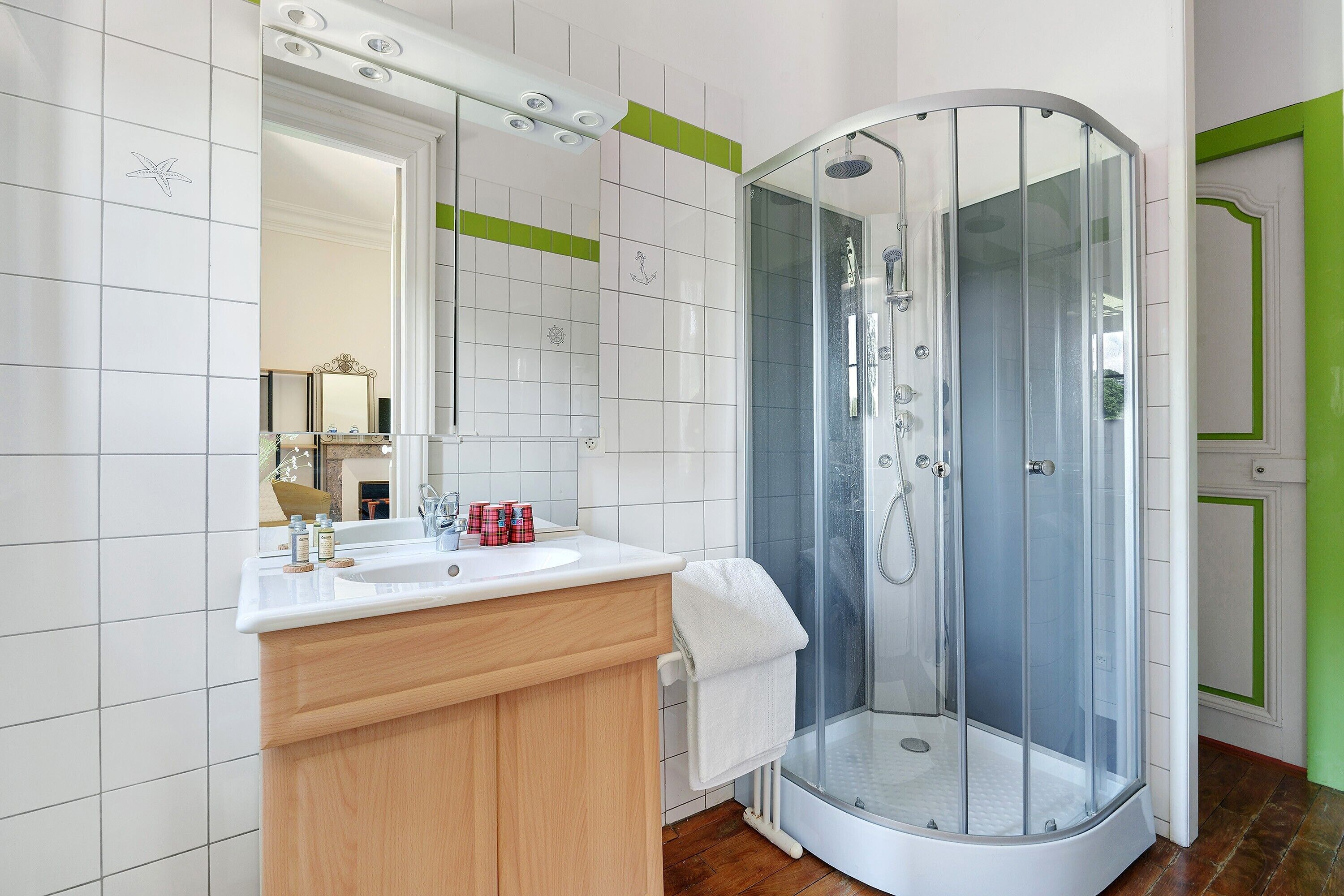 Shower, hair dryer, towels