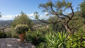 A potted plant on a stone ledge with a view of a valley and distant mountains. - Spartilas Villas (Corfu)