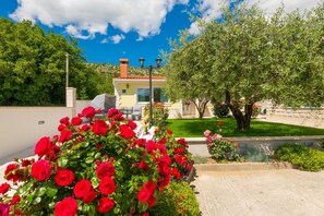 Property grounds - Tranquil Country Villa in Naklice (županija,)
