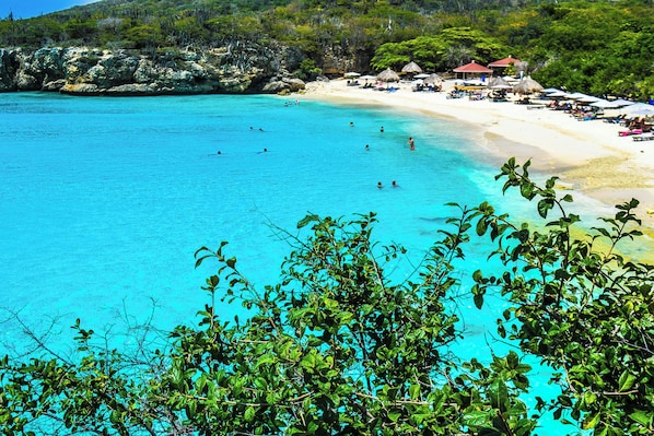 Una playa con agua turquesa cristalina, una orilla arenosa y algo de vegetación en primer plano.