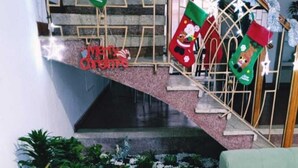 Eine Treppe mit Weihnachtssocken, einem grünen Sofa und einer Topfpflanze.