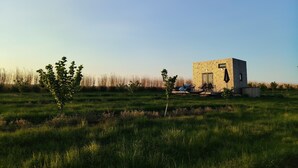 A small wooden cabin with a door and windows, surrounded by a grassy field and a line of tall grasses in the background. - Tiny house in the heart of the countryside, 1 hour from Paris - calm and a change of scenery guaranteed! (Brégy)