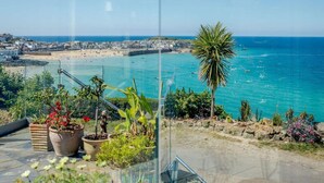 A coastal view with a balcony overlooking the sea, potted plants, and a palm tree. - 3 Bed in St. Ives (oc-sims01) (Carbis Bay)