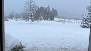 Un ponte in legno con terreno innevato e alberi sullo sfondo.