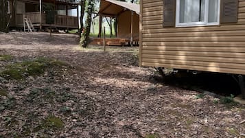 Detalle del exterior