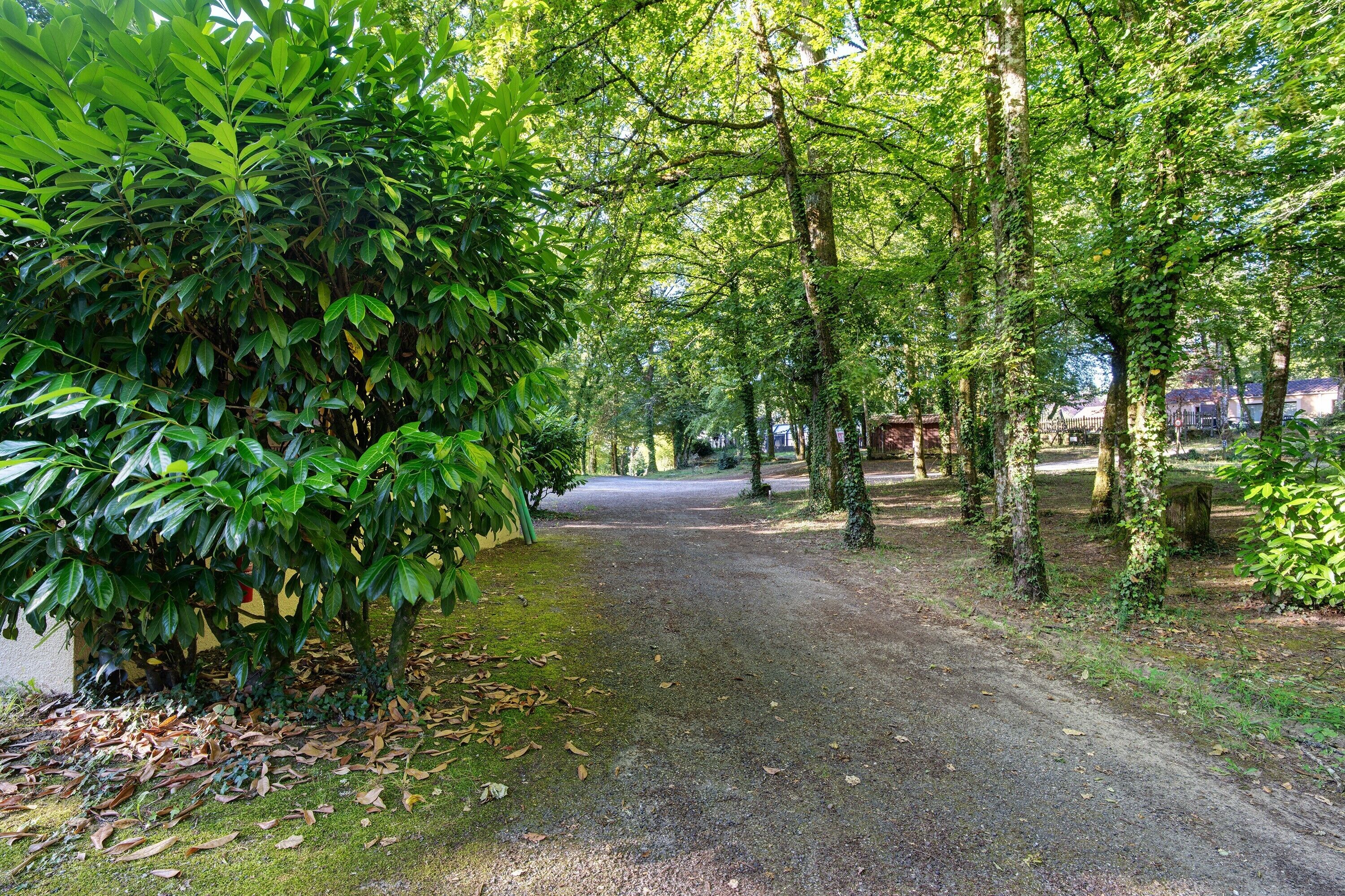 Boendeområde