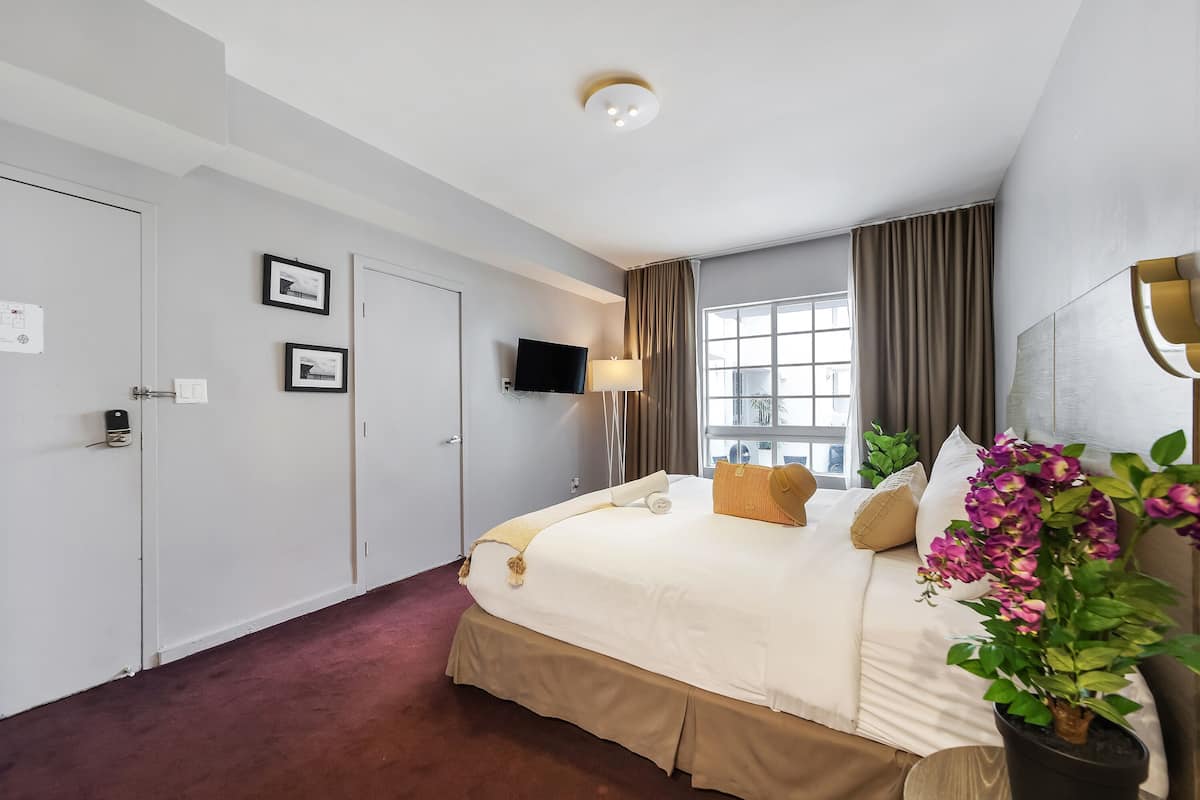 A hotel room with a bed, a TV, a window with curtains, a door, and a plant.