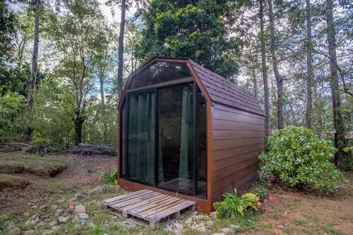 Cozy tiny house {mini cabin}