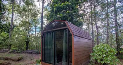 Cozy tiny house {mini cabin}