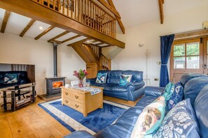 تلفزيون، مدفأة