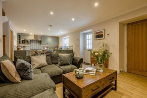 TV, fireplace - 3 Bed in Polperro (oc-b32244) (Polperro)
