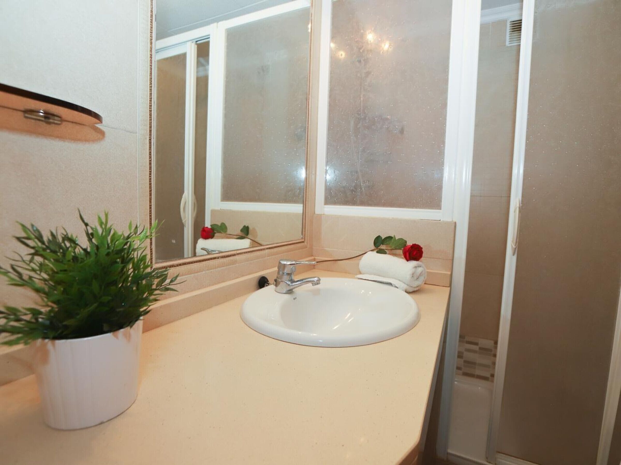 Een badkamer met een wit wastafel, een spiegel en een potplant.