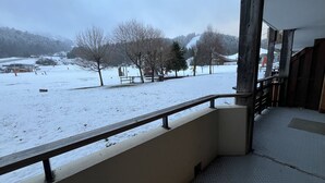 Sneeuwlandschap zichtbaar vanaf een balkon met een metalen hekwerk, een houten vloer en uitzicht op een met sneeuw bedekte weide en bomen.
