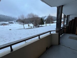 Property grounds - T4 Cabin Apartment, direct snow access, Wifi (Laveissière)