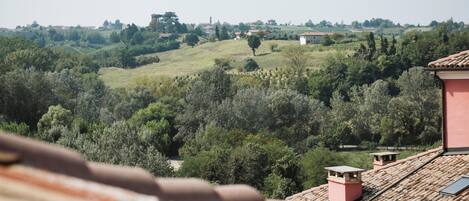 الإطلالة من المنشأة