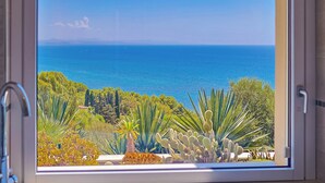Ein Fenster mit Blick auf das Meer und verschiedene Kakteen.