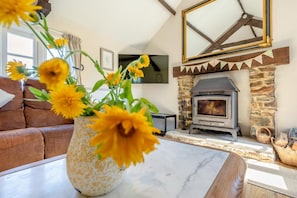 TV, fireplace - 3 Bed in Fairy Cross (oc-g32972) (Ford)