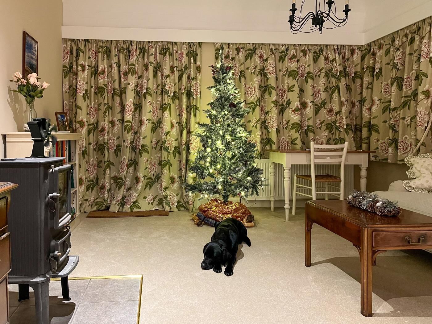 Un saló amb un arbre de Nadal, un gos, una taula de fusta i cortines amb motius florals.