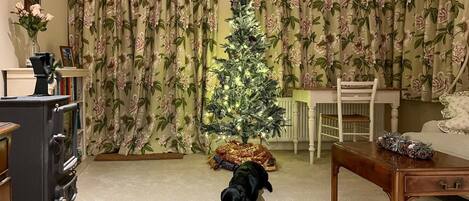Un saló amb un arbre de Nadal, un gos, una taula de fusta i cortines amb motius florals.