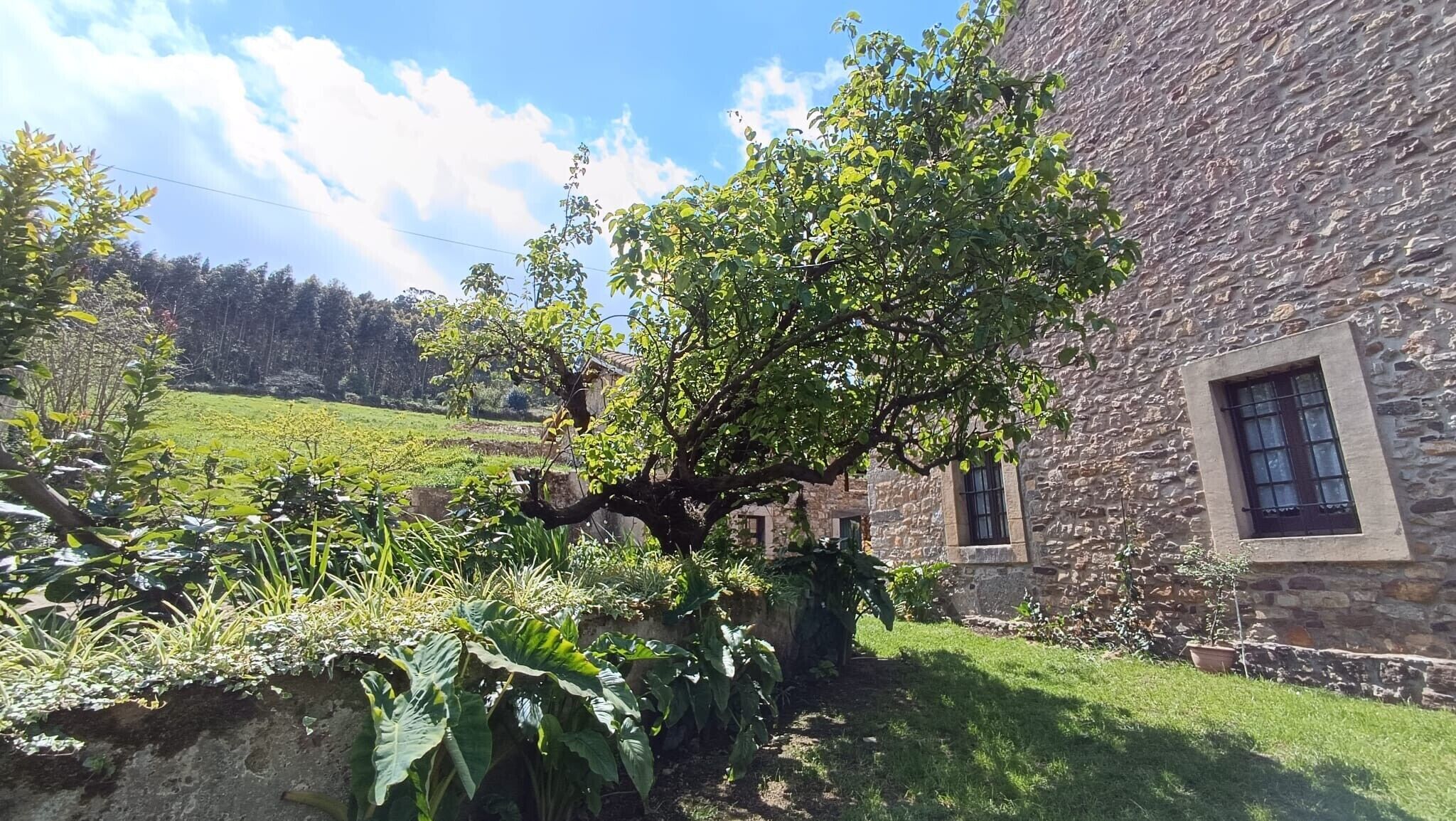 Terrain de l’hébergement 