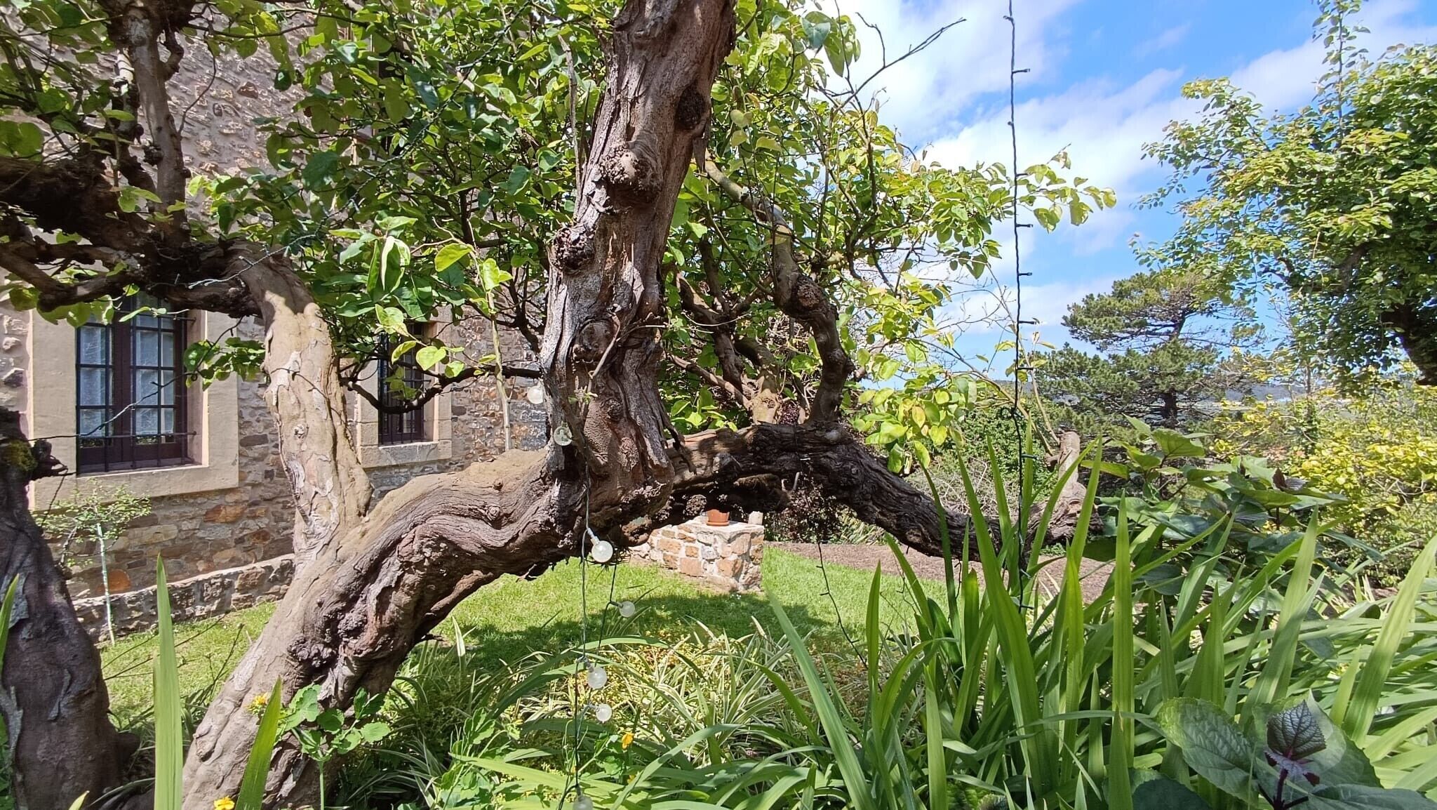 Jardines del alojamiento