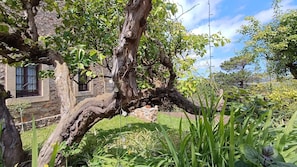 Overnatningsstedets område